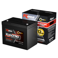 RDrive ELECTRO Reserve NPC (Cyclic Use, 12 лет)